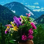 With 2 Bedrooms Holiday home Ramsau am Dachstein