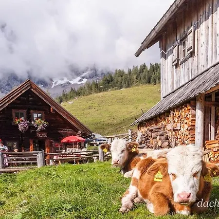 Vakantiehuis With 2 Bedrooms *