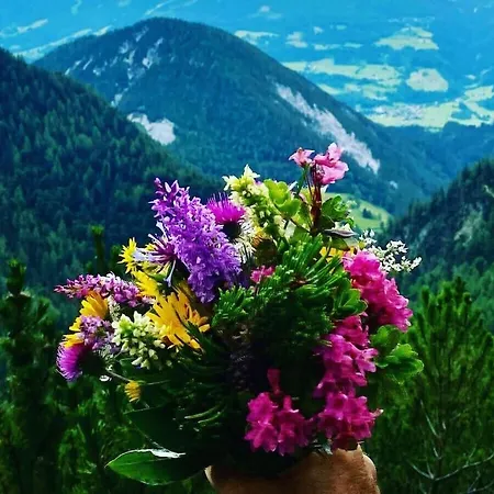 With 2 Bedrooms 別荘 Kulm