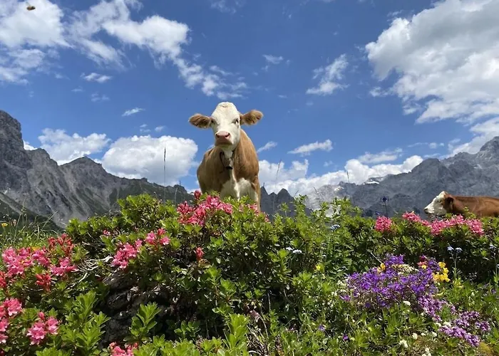 With 2 Bedrooms Рамзау