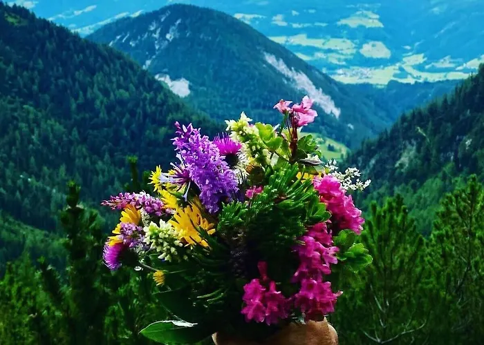 With 2 Bedrooms Дом отдыха Рамзау